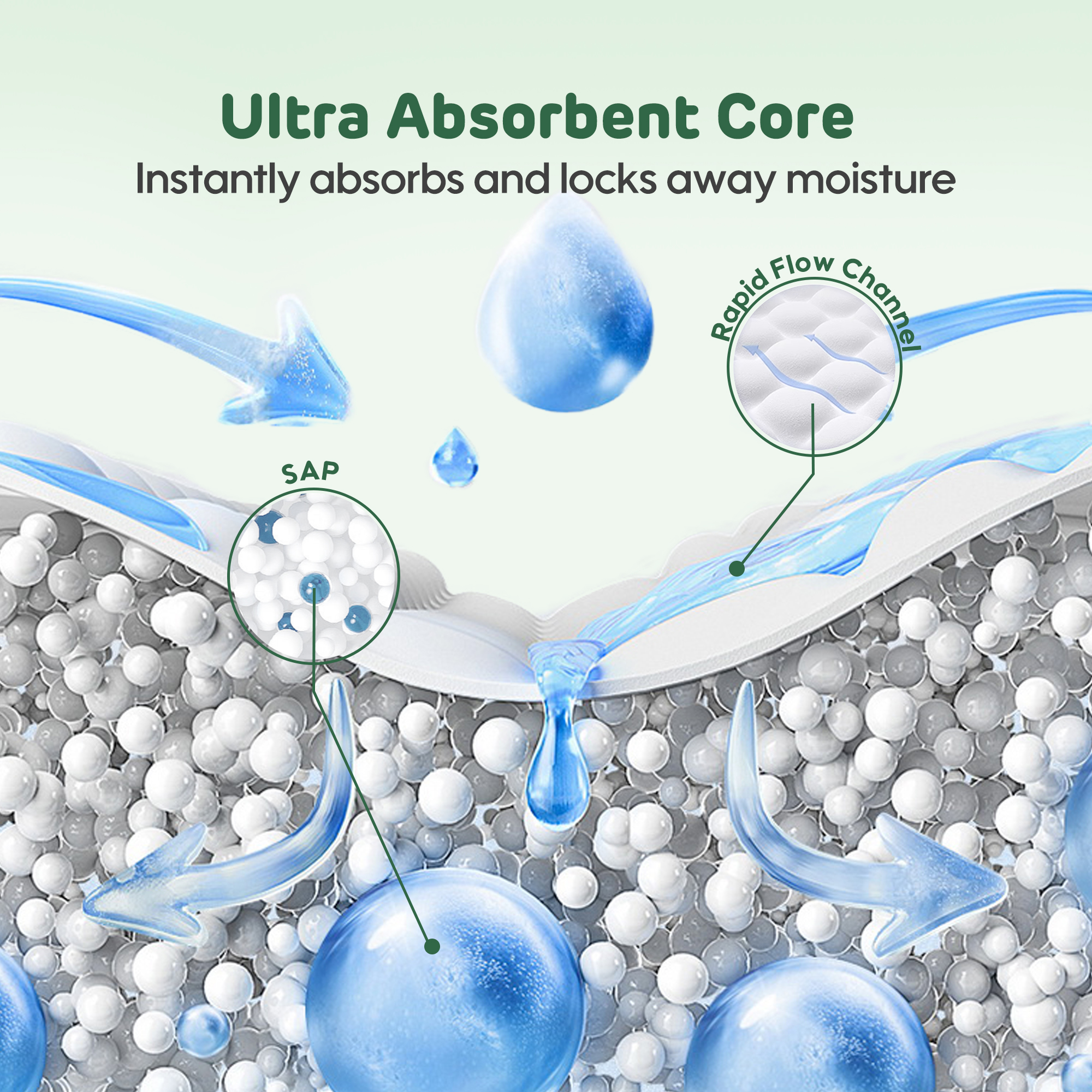 Serviettes Hygiéniques (noyau absorbant * 245mm de 10 serviettes)